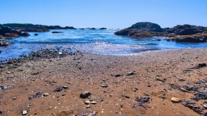 Glass Pedal Beach in Fort Bragg: A Coastal Paradise